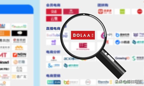 博拉网络 以多项数字化服务领先优势，荣登中国数字营销生态图